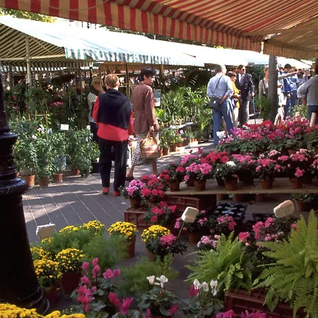 尼斯英国大道美居酒店 酒店 4*