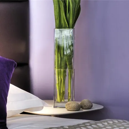 Mercure Promenade Des Hotel Nice