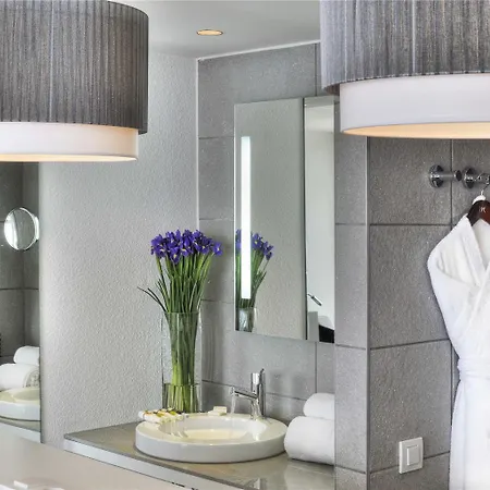 酒店 尼斯英国大道美居酒店