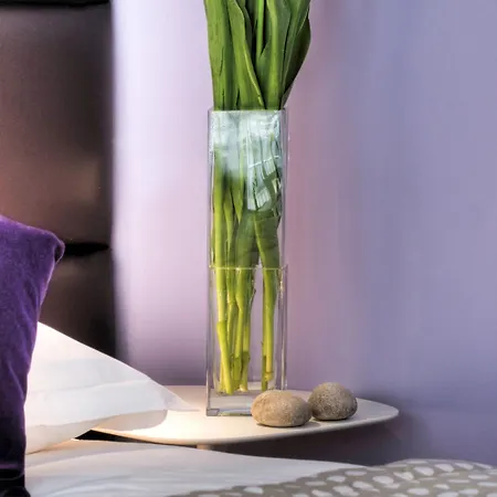 Mercure Promenade Des Hotel