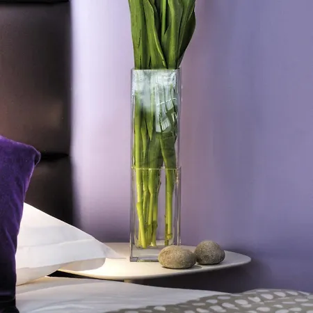 Mercure Promenade Des Otel 4*